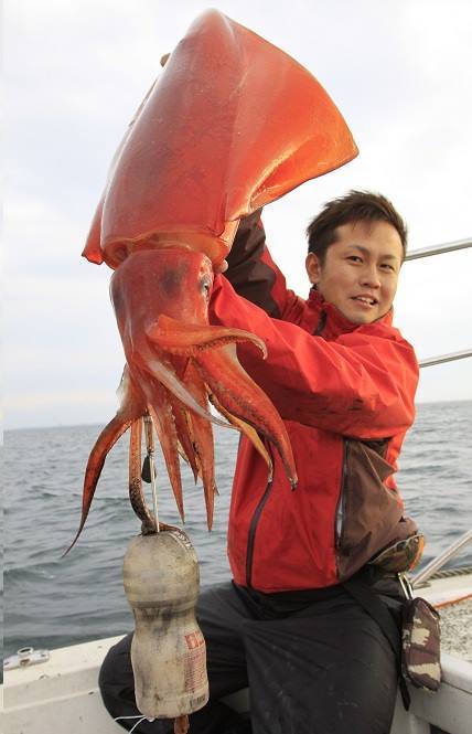 日本捕捉巨型章鱼,日本捕捉94条脚的章鱼