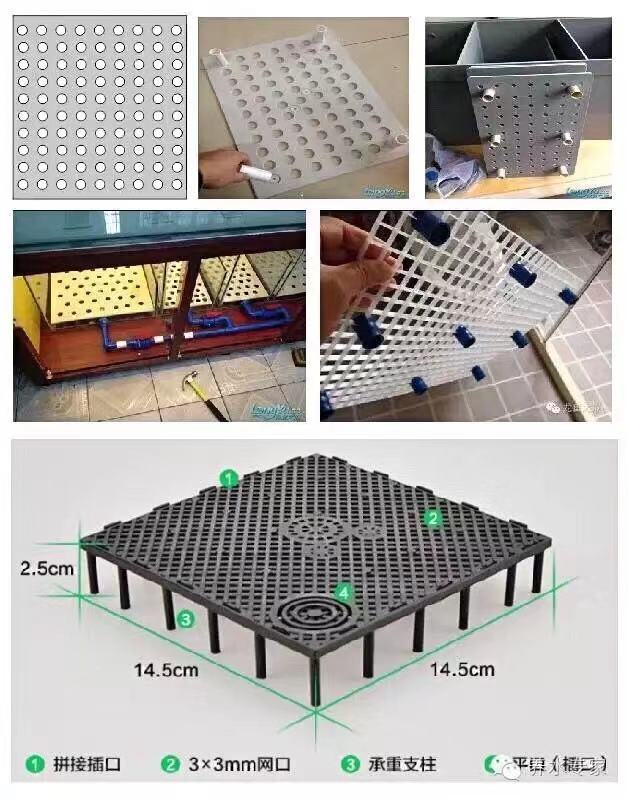 鱼缸养锦鲤鱼的方法和技巧,鱼缸新手养锦鲤鱼的正确方法