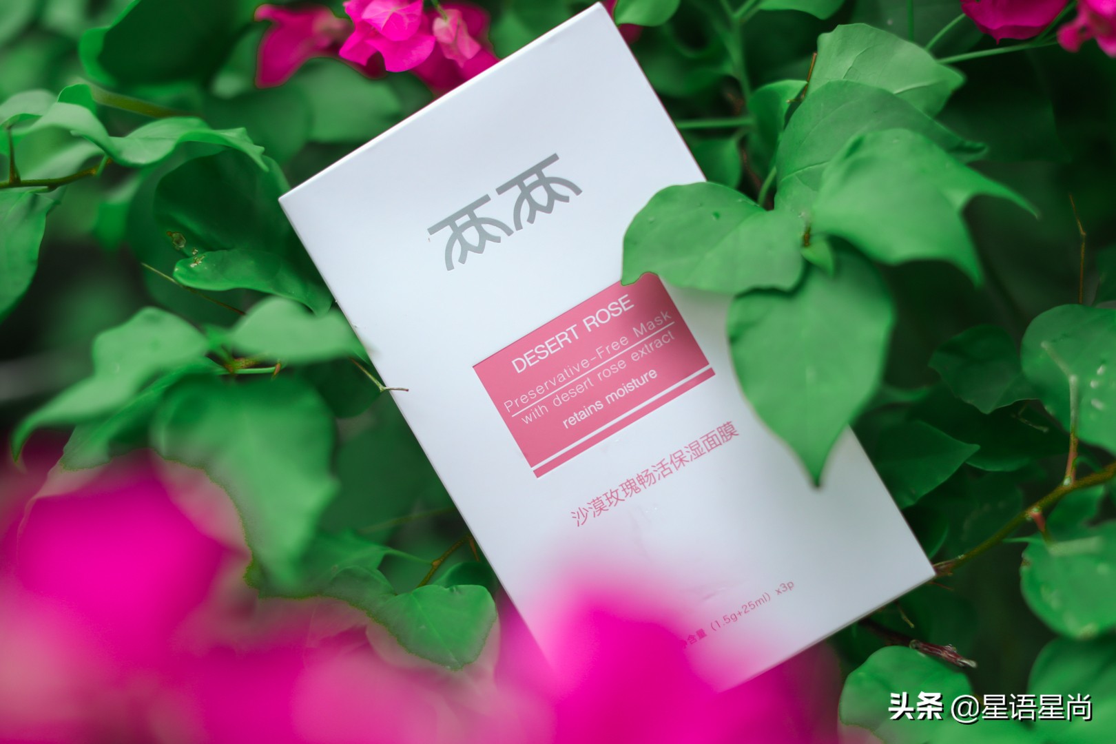 龙女郎姚星彤,龙女郎姚星彤简历