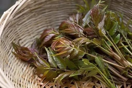 汉中周边踏青的好地方有哪些,汉中乡村游秘境