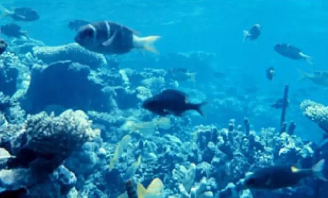 假如地球变得比太阳还大会怎么样,假如没有了太阳地球会是什么样