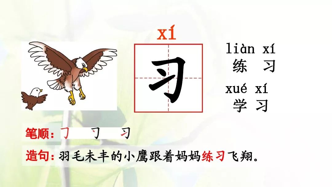 部编版一年级下册人之初知识,一年级下册识字8人之初