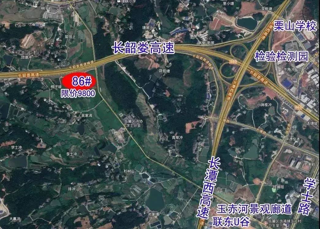 含浦限价,含浦人工智能科技城未来发展