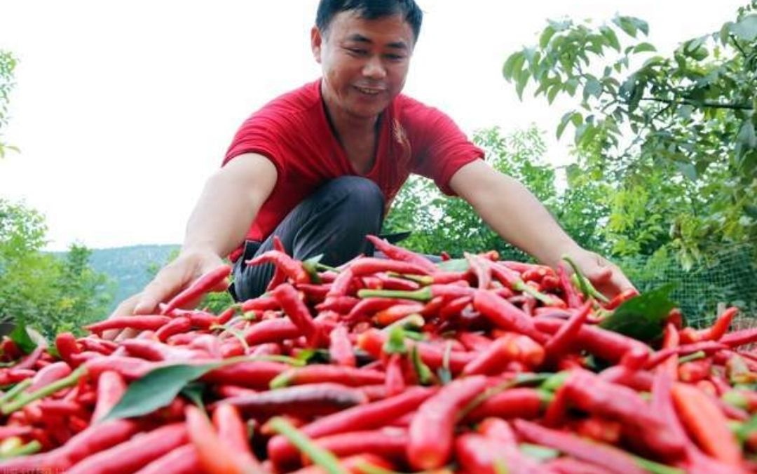 父母如何放弃陪伴孩子外出打工,父母打工不能陪伴孩子的无奈