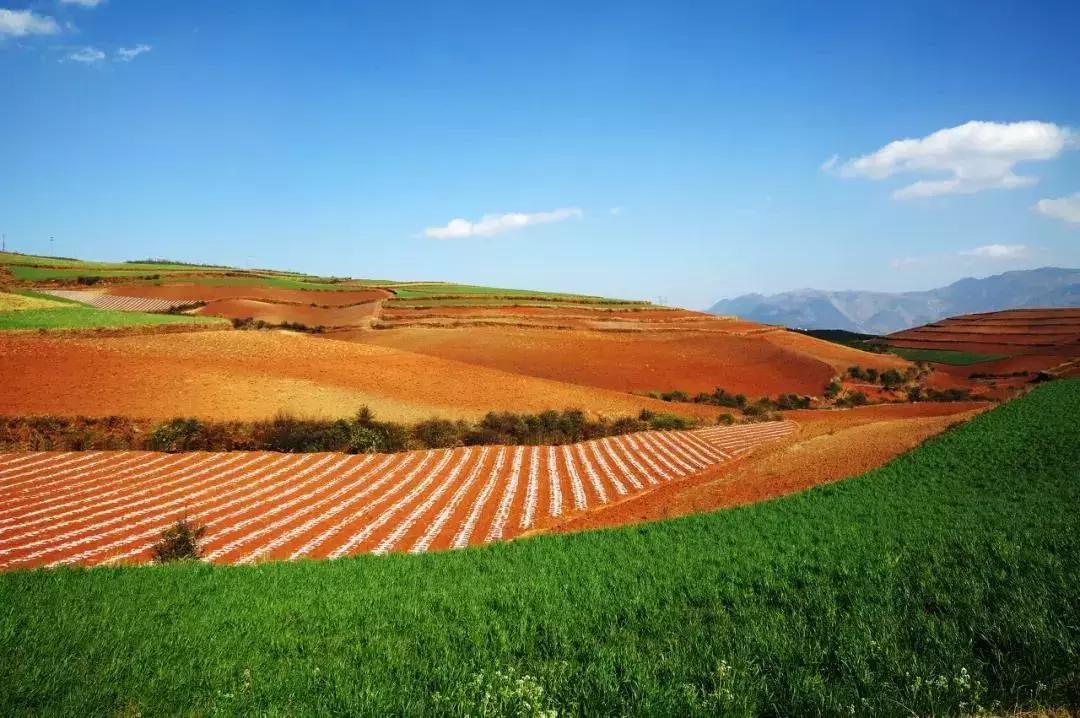 外国人眼中中国最美景点是什么,外国人最喜欢的中国风景