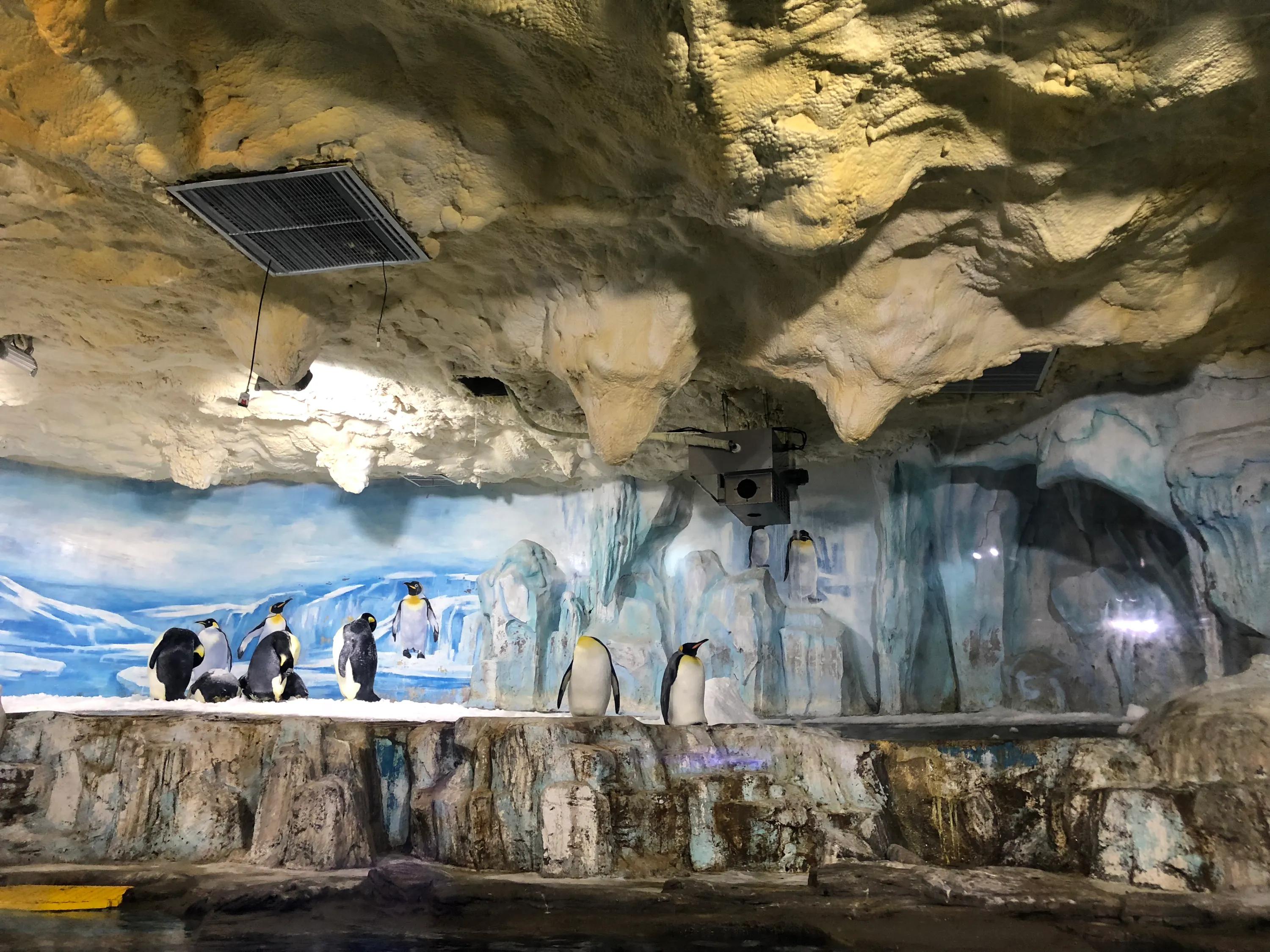 考研必备考点,考研知识点学不明白怎么办