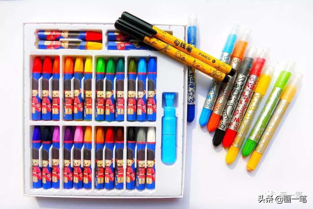 红心石楠图片怎么画,石楠树图片简笔画