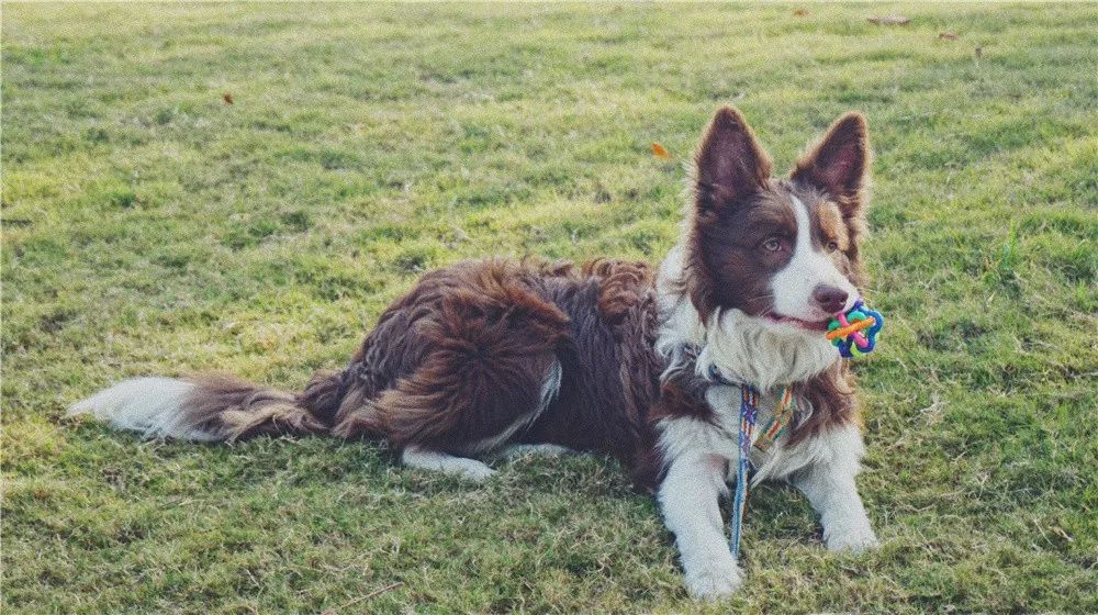 西安八月约会最佳地点,西安周末情侣最适合约会的地方