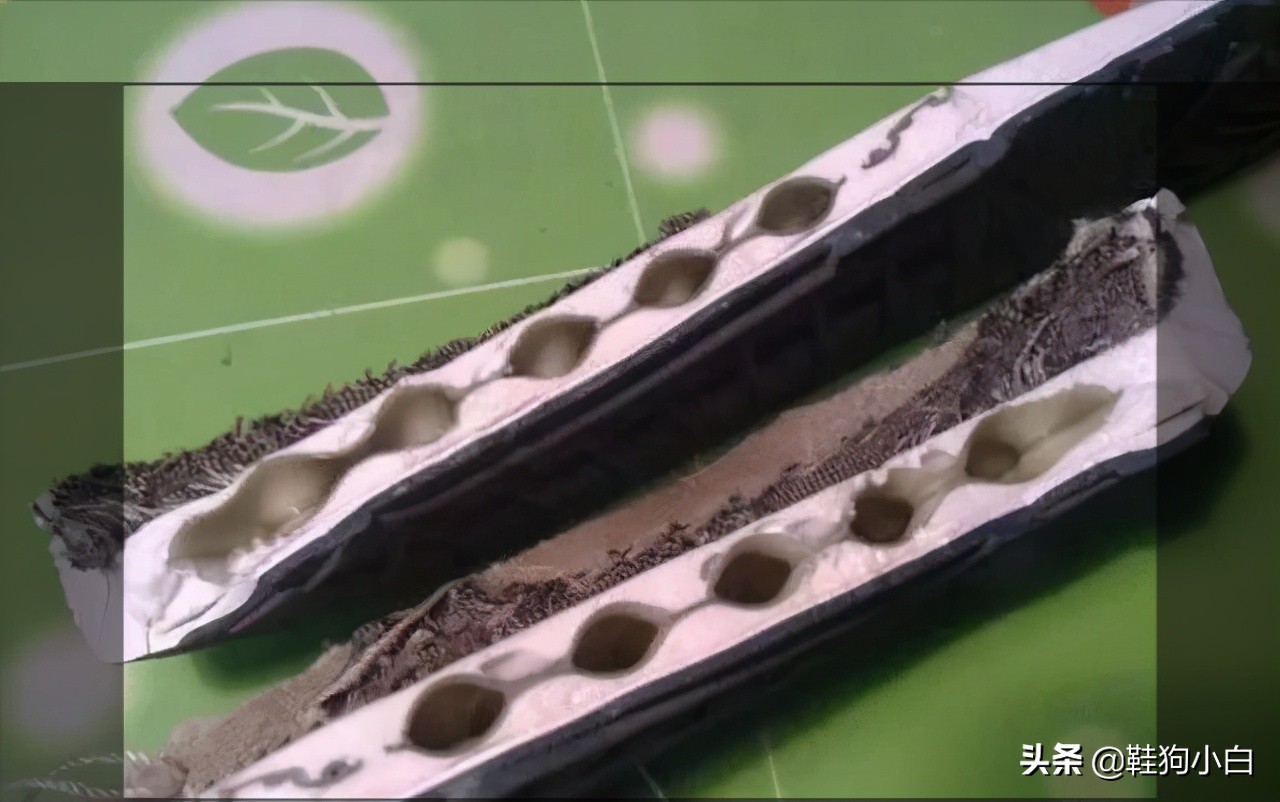 科普向动画特点,nike气垫科普