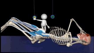 有效改善体态,提升气质减肥瘦全身方法