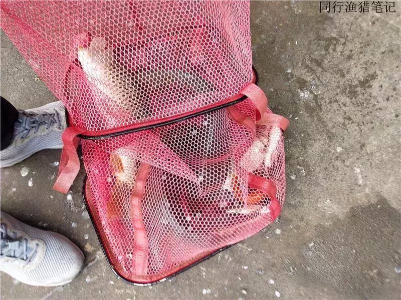 2019钓鱼日志,钓鱼笔记1