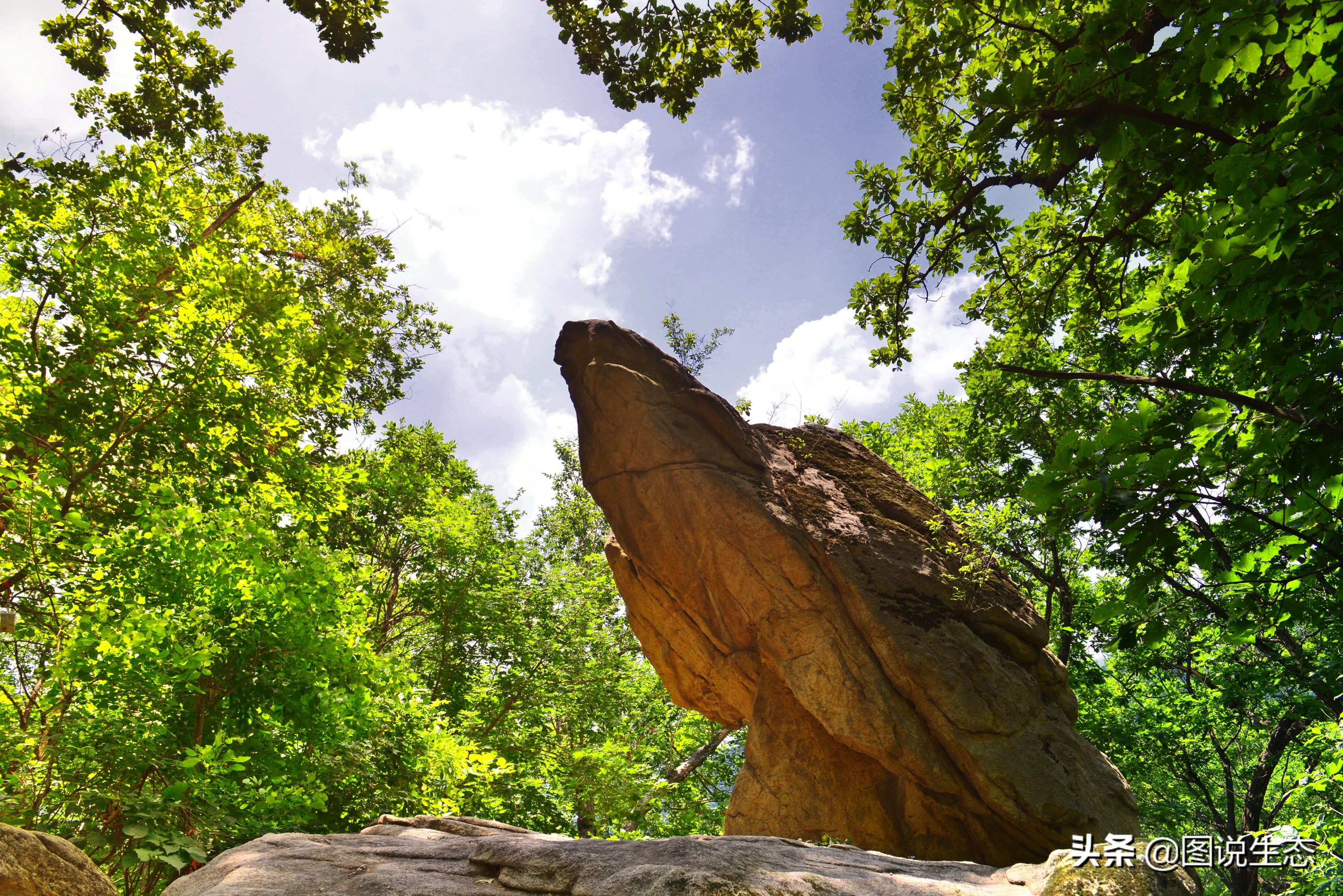 农村大山发现一尊山体大佛,本溪大峡谷天然石佛