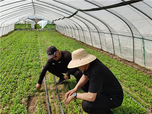 我们村里最熟悉的人,我们村里最熟悉的陌生人宣传活动