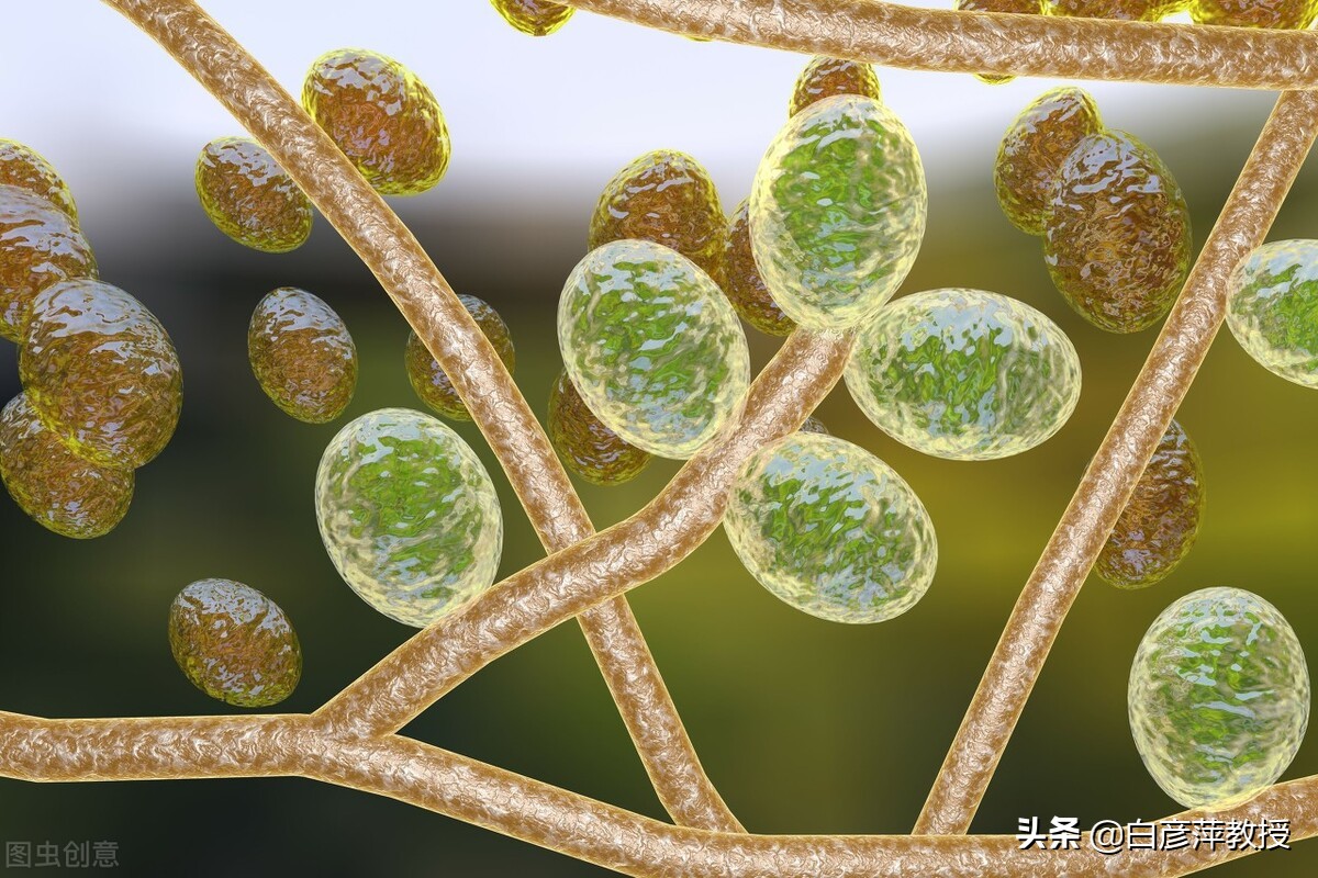 皮肤科医生眼中的真相,皮肤科激素皮炎