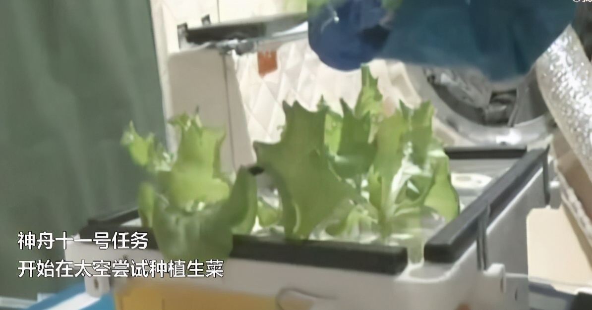 航天员在太空吃上月饼,航天员在太空吃月饼的视频