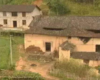 宇宙未解之谜外星文明蜥蜴人,世界上有蜥蜴人真实存在吗