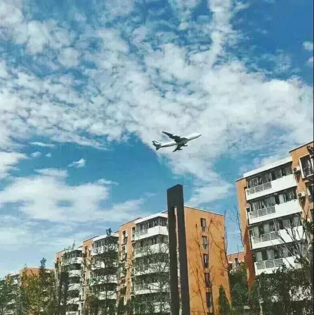 一头扎进春天里云南,美如仙境的西南民大