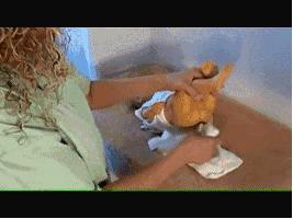 帮宝宝换尿不湿的正确方法,怎样给宝宝换尿不湿时不吐奶