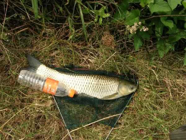 钓鱼人应该保持的心态,钓鱼人的三大坏习惯你却长期忽略