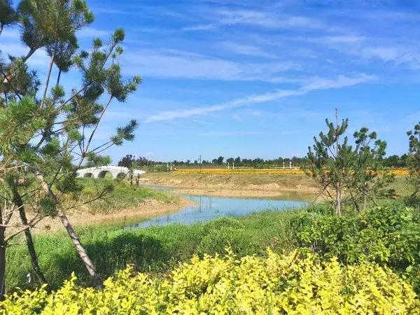 左中休闲好去处——达尔罕森林公园