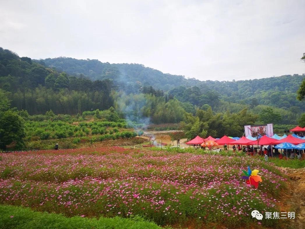 中国绿都最氧的三明将乐,中国绿都最氧三明康养之旅