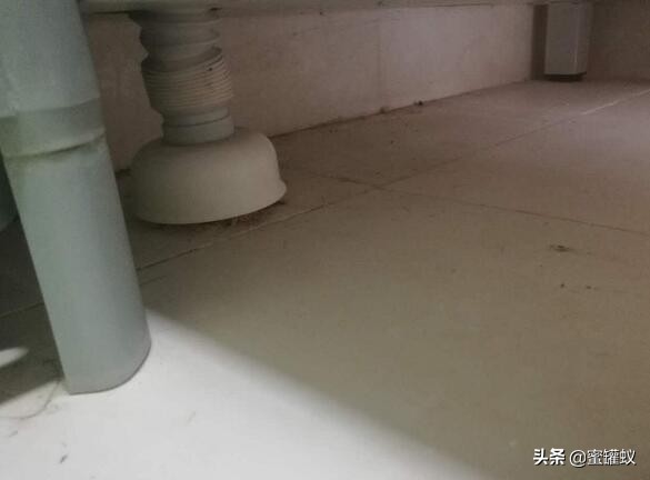 洗手池反味怎么办？这几个小妙招针对洗手池反味效果特别好