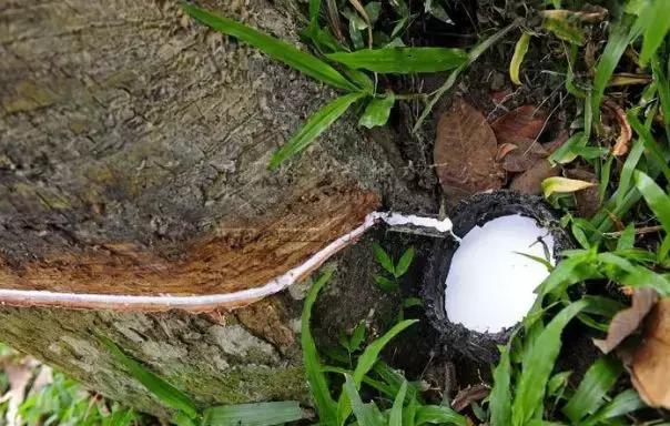 乳胶床品哪里产品最好,怎么区分乳胶床品的好坏