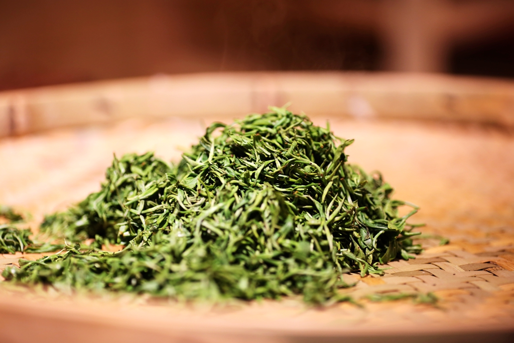 忘掉西湖吧，黄陂花乡茶谷的龙井同样醉人