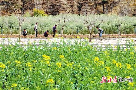 决战决胜脱贫攻坚原文,脱贫攻坚书写收官答卷