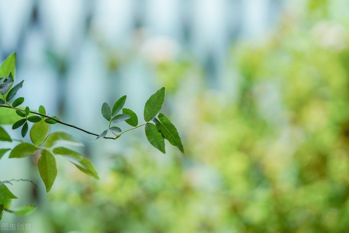 和大姑姐关系不好老公该怎么办,大姑姐要结婚我怎么表示