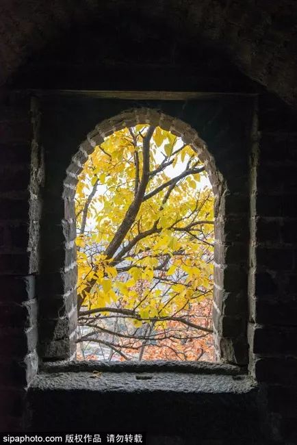 再不去玩就晚了!北京秋游倒计时!爬山、赏叶、观鸟…随便您怎么嗨!