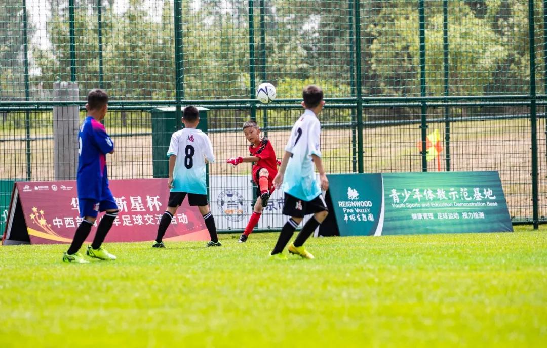 红牛是怎么火起来的,红牛成名历史