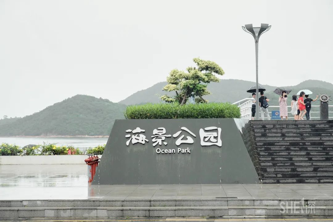 深圳卖衣服的商场,深圳的商场有哪些