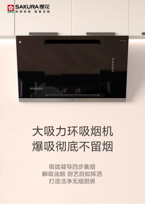 樱花卫厨的油烟机,樱花卫厨抽油烟机套装