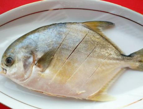 年夜饭必备菜红烧鲳鱼,红烧鲳鱼最佳吃法