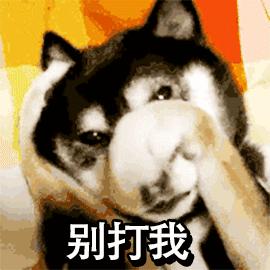 博特转债113626后续走势,博特转债今天如何操作