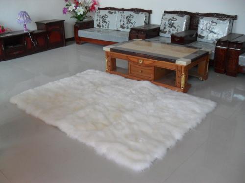 除虫防虫最好的方法,豆角虫害防虫小妙招