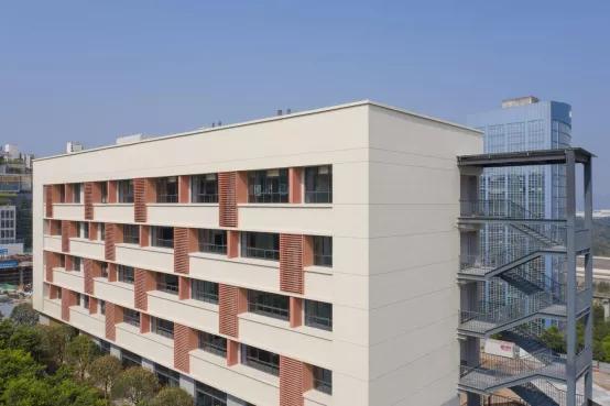 “双减”在两江|金山·云翠小学：关注学生个性发展让教育“智慧”更“至善”