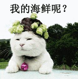 有一种炫富叫青岛开海,有一种炫富叫青岛开海了