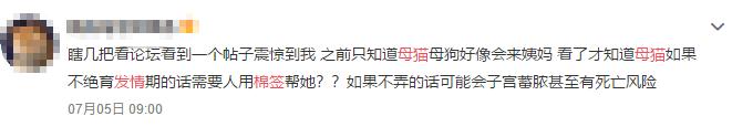 母猫发情用棉签戳，结果棉花掉进去了……