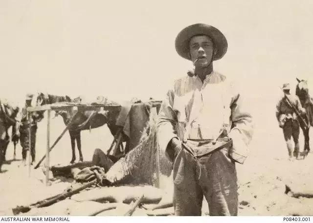 来澳洲才知道的事,来悉尼才知道的事