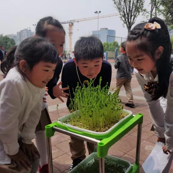 “双减”在两江|金山·云翠小学：关注学生个性发展让教育“智慧”更“至善”