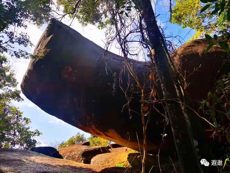 温州居然有这么美的小众景点,温州青龙山风景区在哪里