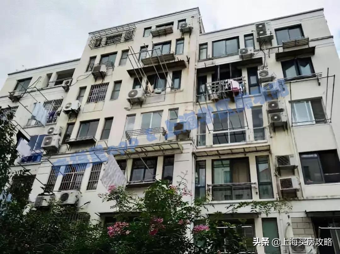 民办摇号学校有哪些,上海民办摇号哪些初中难上