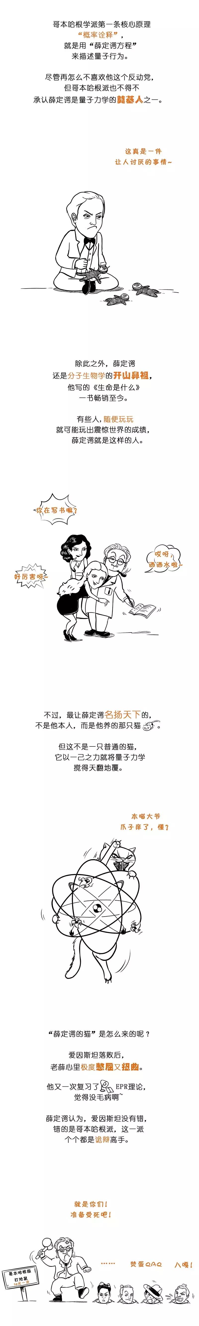 薛定谔的猫最简单最直白的解释,薛定谔的猫和杨氏双缝干涉实验