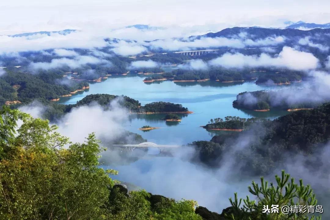 什么是麻雀定律,什么是应激反应表现有哪些