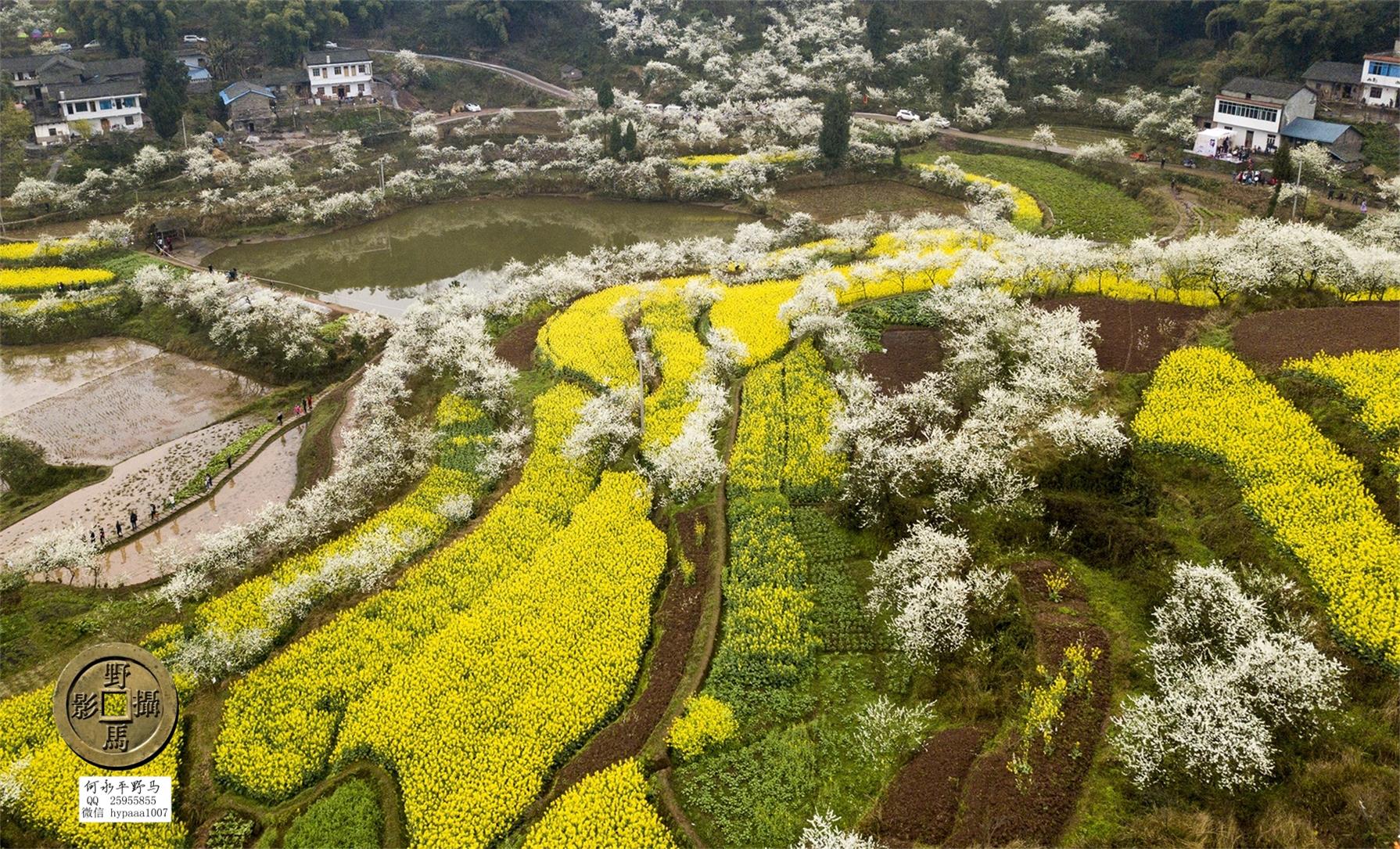 广安撤县名单查询,70年广安县有多少个人民公社