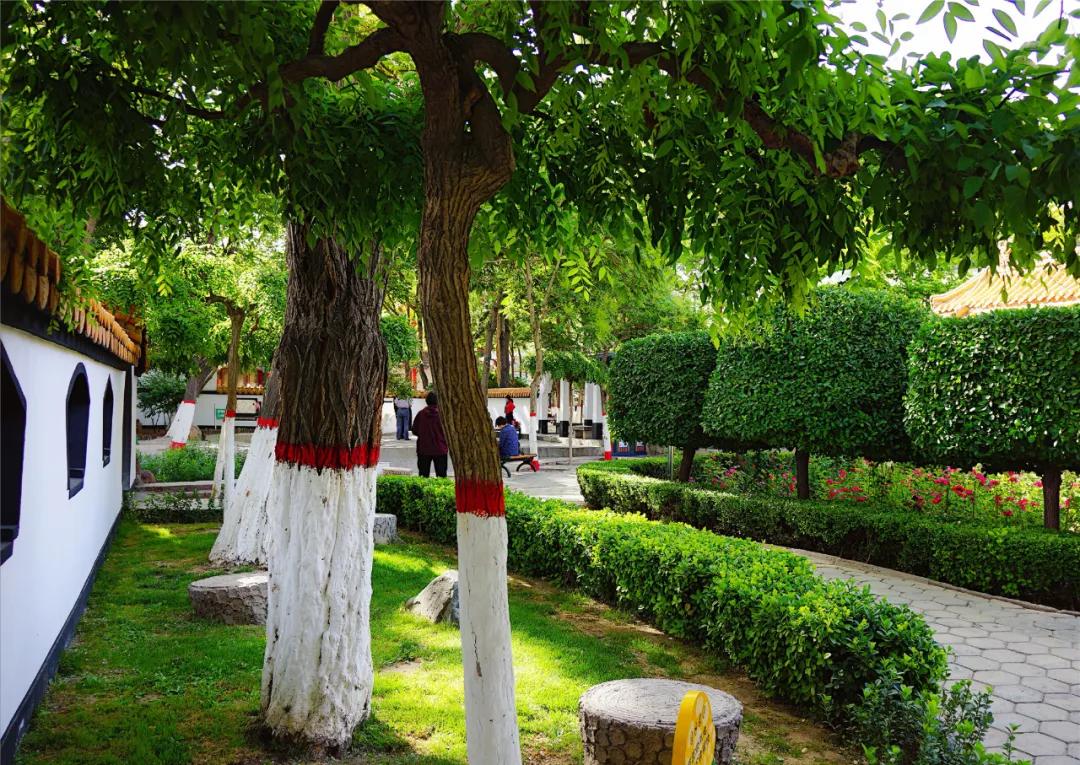 宁夏银川街心公园,银川兴庆区宁园门票多少