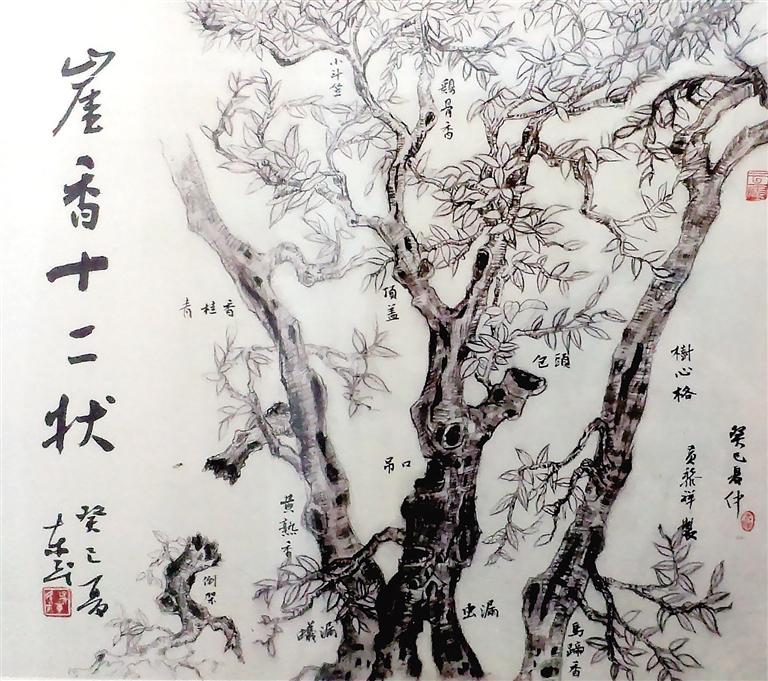 中国香道制香有几种类型,香道制香方法图解