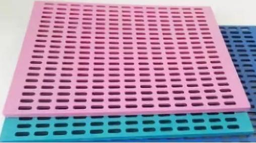 狗狗趾间炎不难治，方法都在这里